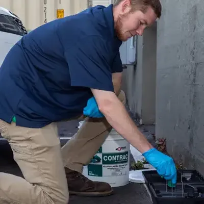 technician checking bait