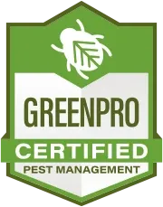 Pest Control Boston | Boston Exterminator | Clancy Brothers Pest ...