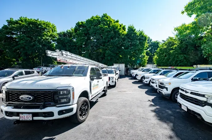 Clancy Bros Pest Control truck fleet, Boston